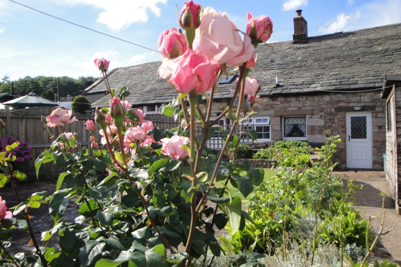 cottage to rent Lake District